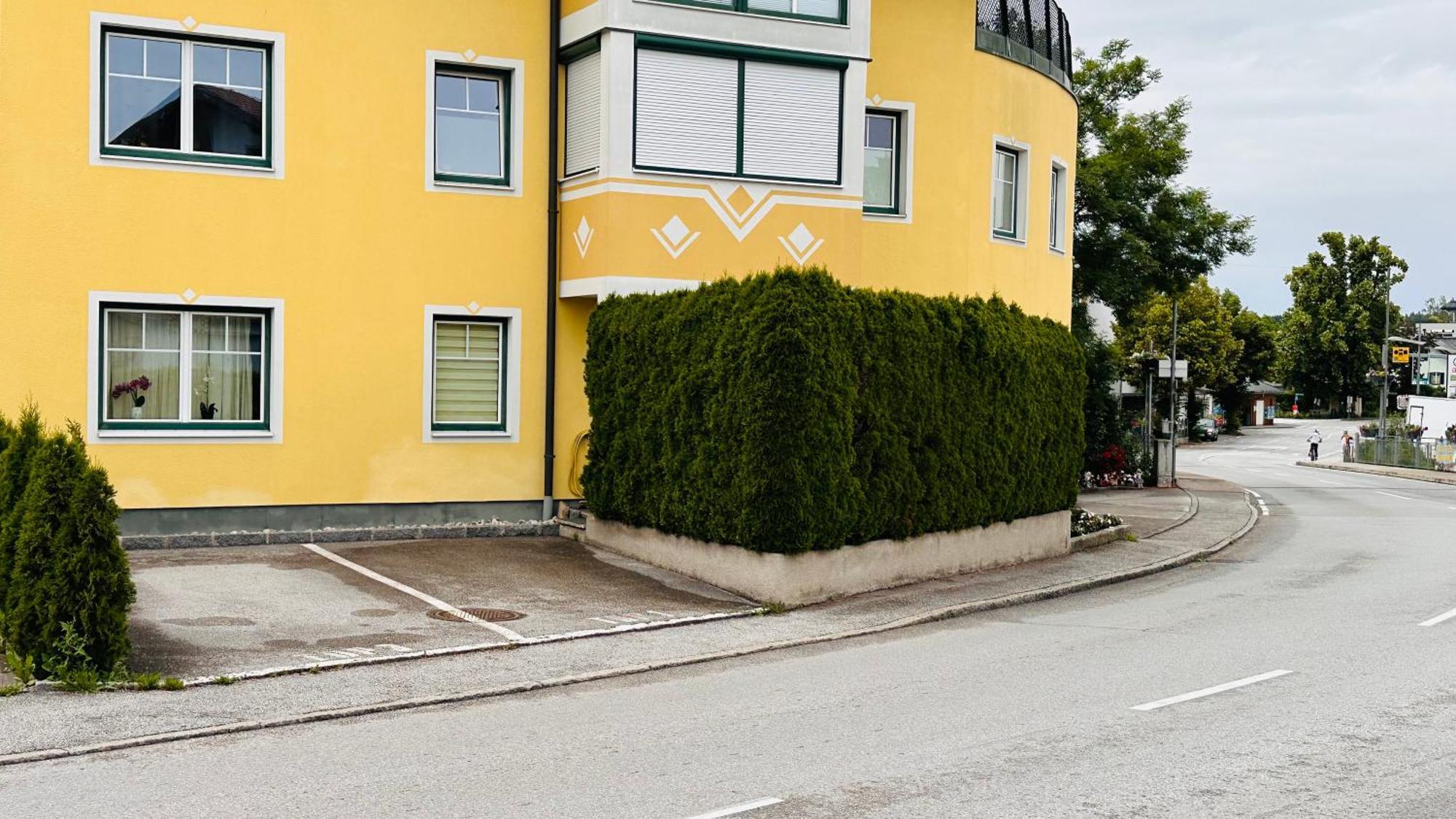 Naturparadies Salzburg-Land Seekirchen am Wallersee Eksteriør billede